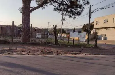 Terreno para alugar, 1700 m² por r$ 4.880,00/mês - vila nova - porto alegre/rs