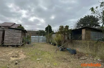 Terreno para alugar, 602 m² por r$ 3.500,00/mês - camaquã - porto alegre/rs