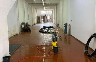 Galpão para alugar, 200 m² por r$ 5.000,00/mês - centro - santos/sp