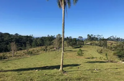Terreno à venda na Estrada Sertãozinho, Serra Alta, São Bento do Sul