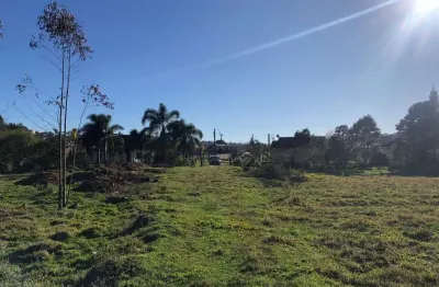 Terreno à venda na Rua Mathias Nossol, Serra Alta, São Bento do Sul