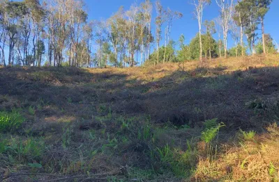 Terreno à venda na Rua Daniel Moser, Progresso, São Bento do Sul