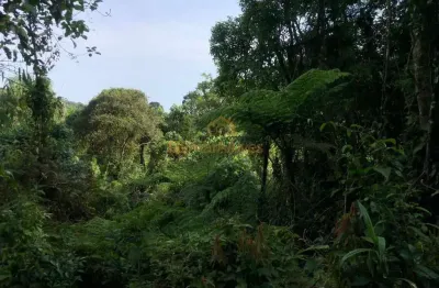 Terreno para venda em são bento do sul, rio vermelho estação