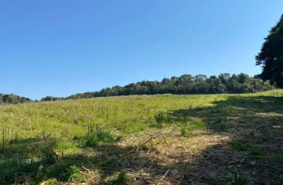 Terreno para venda em são bento do sul, dona francisca