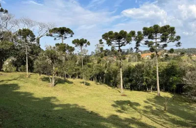 Terreno para venda em são bento do sul, rio vermelho estação