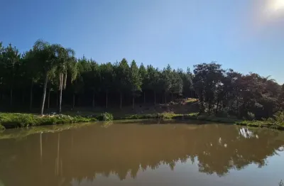 Terreno à venda no Bateias de Baixo, Campo Alegre 