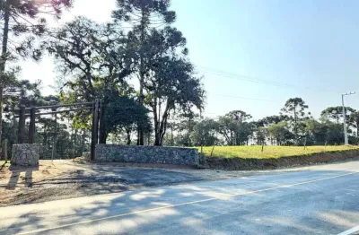 Terreno à venda no Bateias de Baixo, Campo Alegre 