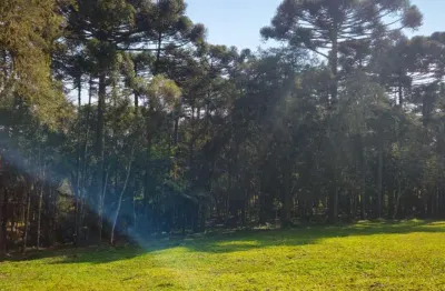 Terreno à venda no Bateias de Baixo, Campo Alegre 
