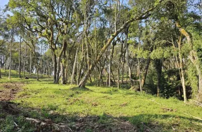 Terreno à venda no Bateias de Baixo, Campo Alegre 