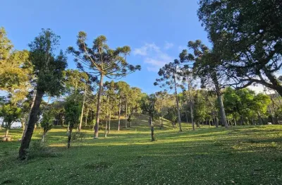 Terreno à venda no Brasilia, São Bento do Sul 