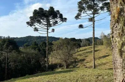 Terreno para venda em são bento do sul, rio vermelho povoado