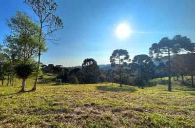 Terreno para venda em são bento do sul, rio vermelho povoado