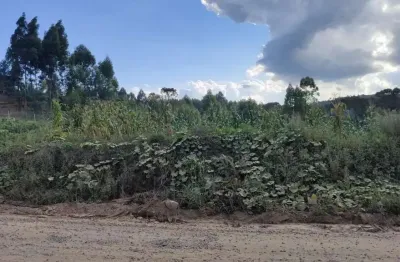 Terreno à venda na Estrada Colonia Miranda, São Pedro, Rio Negrinho