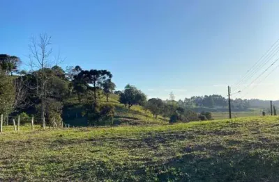 Terreno à venda na Rua Emílio Engel, Rio Vermelho Estação, São Bento do Sul