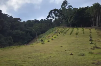 Chácara para venda em são bento do sul, rio vermelho estação