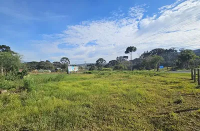 Terreno à venda na Rodovia Deputado Genésio Tureck - Sc 418, Brasilia, São Bento do Sul