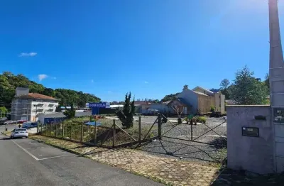 Terreno comercial para alugar na Rua Alexandre Buhnemann, sn, Schramm, São Bento do Sul