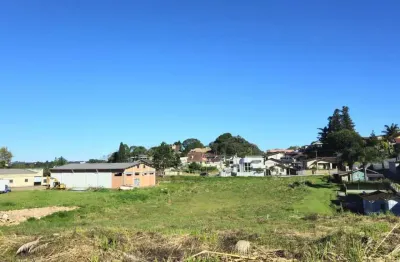 Terreno à venda na Rua Frederico Rank, Rio Negro, São Bento do Sul