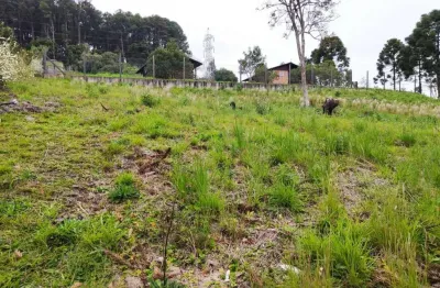 Terreno à venda na Rua João Hansen Júnior, Cascatas, Campo Alegre