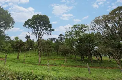 Terreno à venda no Rio Vermelho Estação, São Bento do Sul 