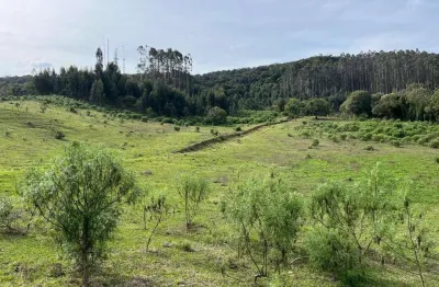 Fazenda à venda na Tijucume, sn, Tijucume, Campo Alegre