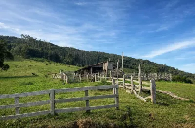 Fazenda à venda na Tijucume, sn, Tijucume, Campo Alegre