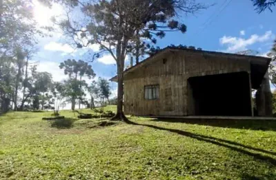 Chácara para venda em campo alegre, avenquinha, 2 dormitórios, 1 banheiro