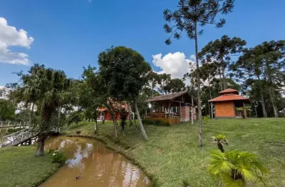 Chácara para Venda em Campo Alegre, Avenquinha, 3 dormitórios, 1 suíte, 12 banheiros