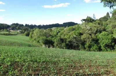 Terreno à venda na Rua Alberto Torres, Centenário, São Bento do Sul