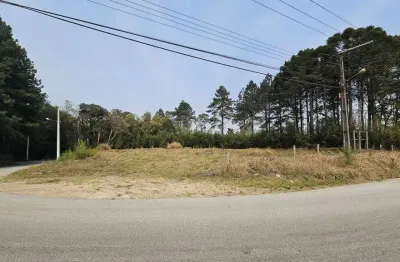 Terreno à venda na Rua Oscar Hinke, Lençol, São Bento do Sul