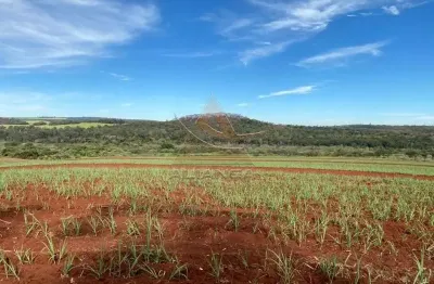 Fazenda à venda na Zona Rural, Ibaté 