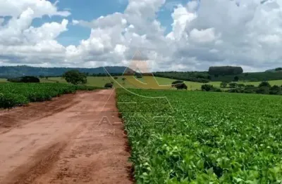 Fazenda à venda no Centro, Itamogi 