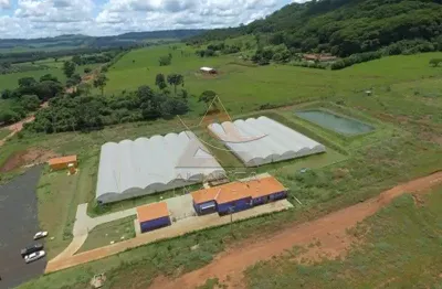 Fazenda à venda no Centro, São Simão 