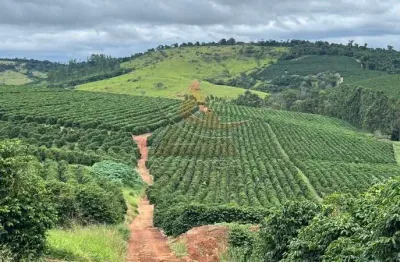 Fazenda à venda na Zona Rural, Oliveira 