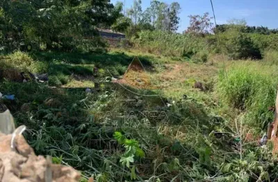 Terreno à venda na Vila Virgínia, Ribeirão Preto 