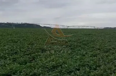 Fazenda à venda na Zona Rural, Casa Branca 