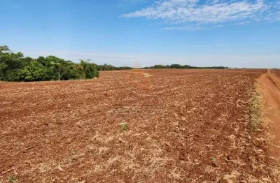 Fazenda à venda na Área Rural de Araraquara, Araraquara 