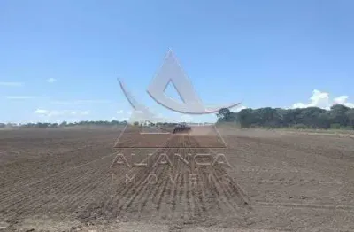 Fazenda à venda na Zona Rural, Santa Fé do Araguaia 