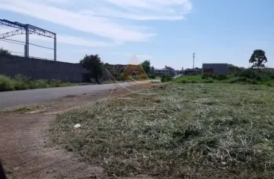 Terreno comercial à venda na Vila Elisa, Ribeirão Preto 