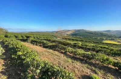 Fazenda à venda na Zona Rural, São Lourenço 