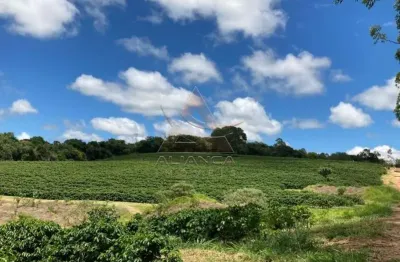 Fazenda à venda na Zona Rural, Cristais 
