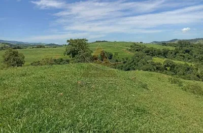 Fazenda à venda na Área Rural de Itapira, Itapira 