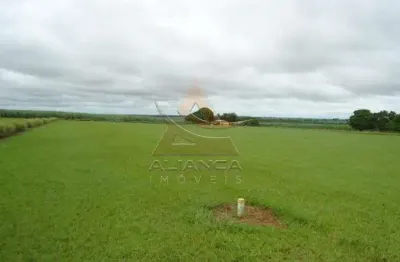 Fazenda à venda na Zona Rural, Rancharia 