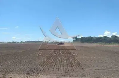 Fazenda à venda na Zona Rural, Formoso do Araguaia 