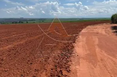 Fazenda à venda na Zona Rural, Gavião Peixoto 