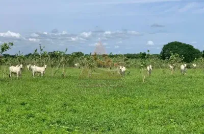 Fazenda à venda na Zona Rural, Jaíba 