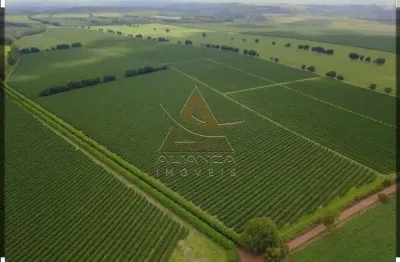 Fazenda à venda na Zona Rural, Tiros 