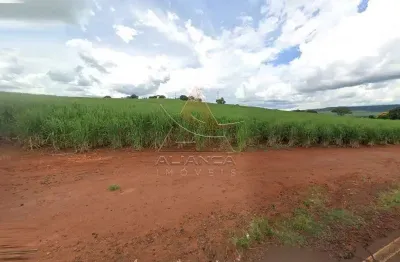 Fazenda à venda na Zona Rural, Cravinhos 