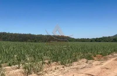 Fazenda à venda na Zona Rural, Tambaú 
