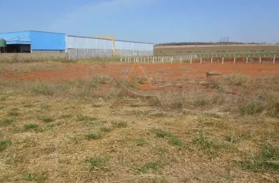 Terreno à venda no Recreio Anhangüera, Ribeirão Preto 